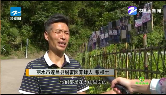 张蜂霸土蜂蜜在遂昌报纸上报道新闻 张蜂霸土蜂蜜在遂昌报纸上报道新闻